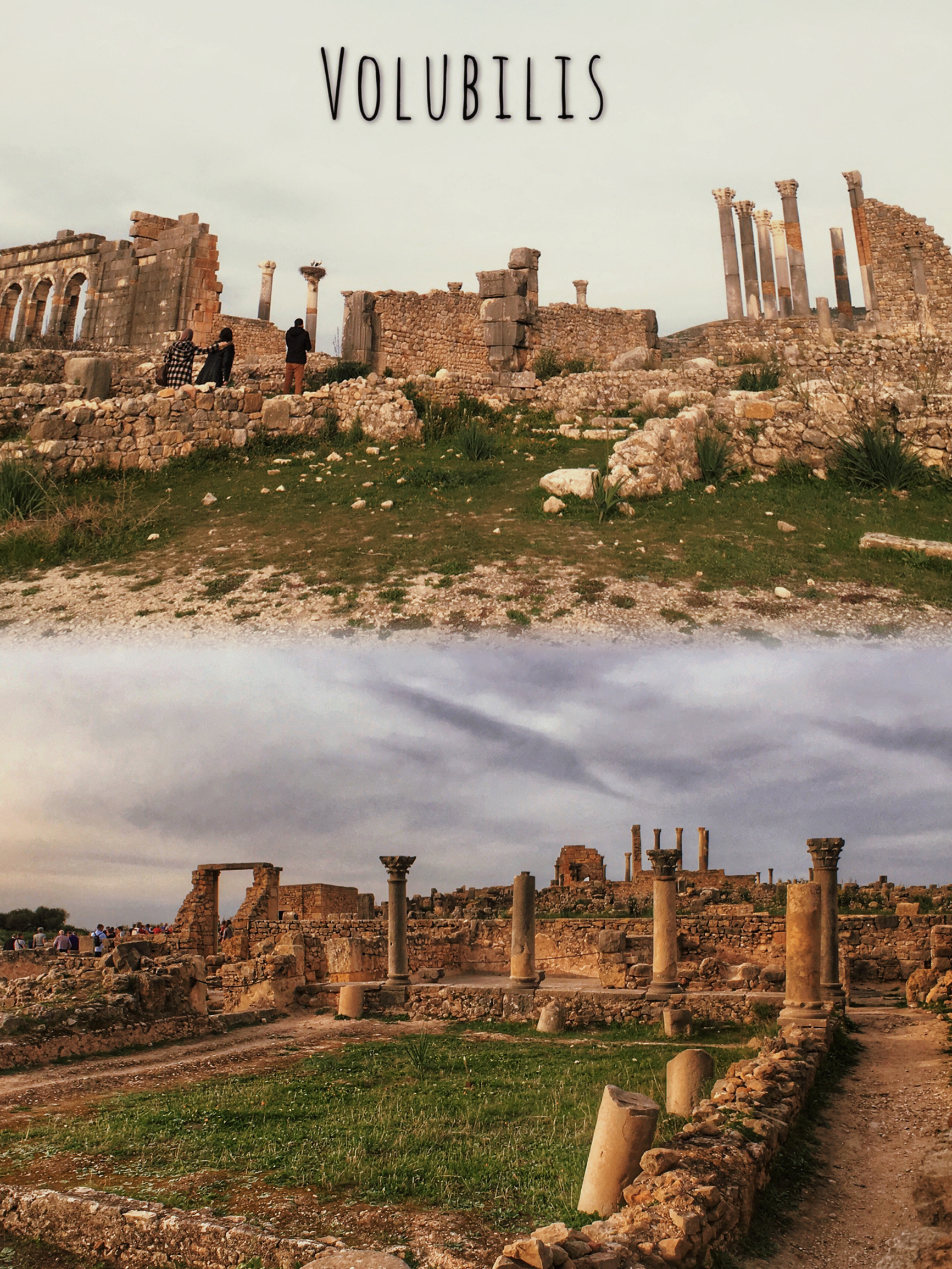 摩洛哥 | 古罗马遗迹「沃吕比利斯」