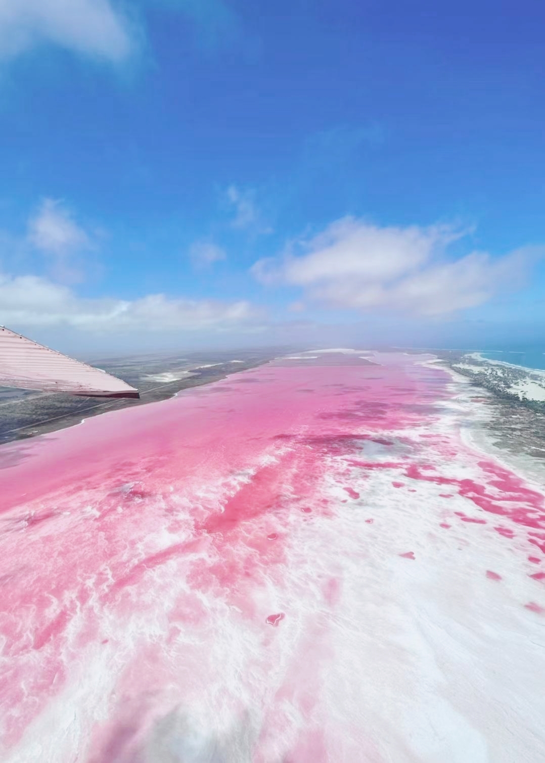 澳大利亚粉红色海洋的原因和最佳观赏时间。