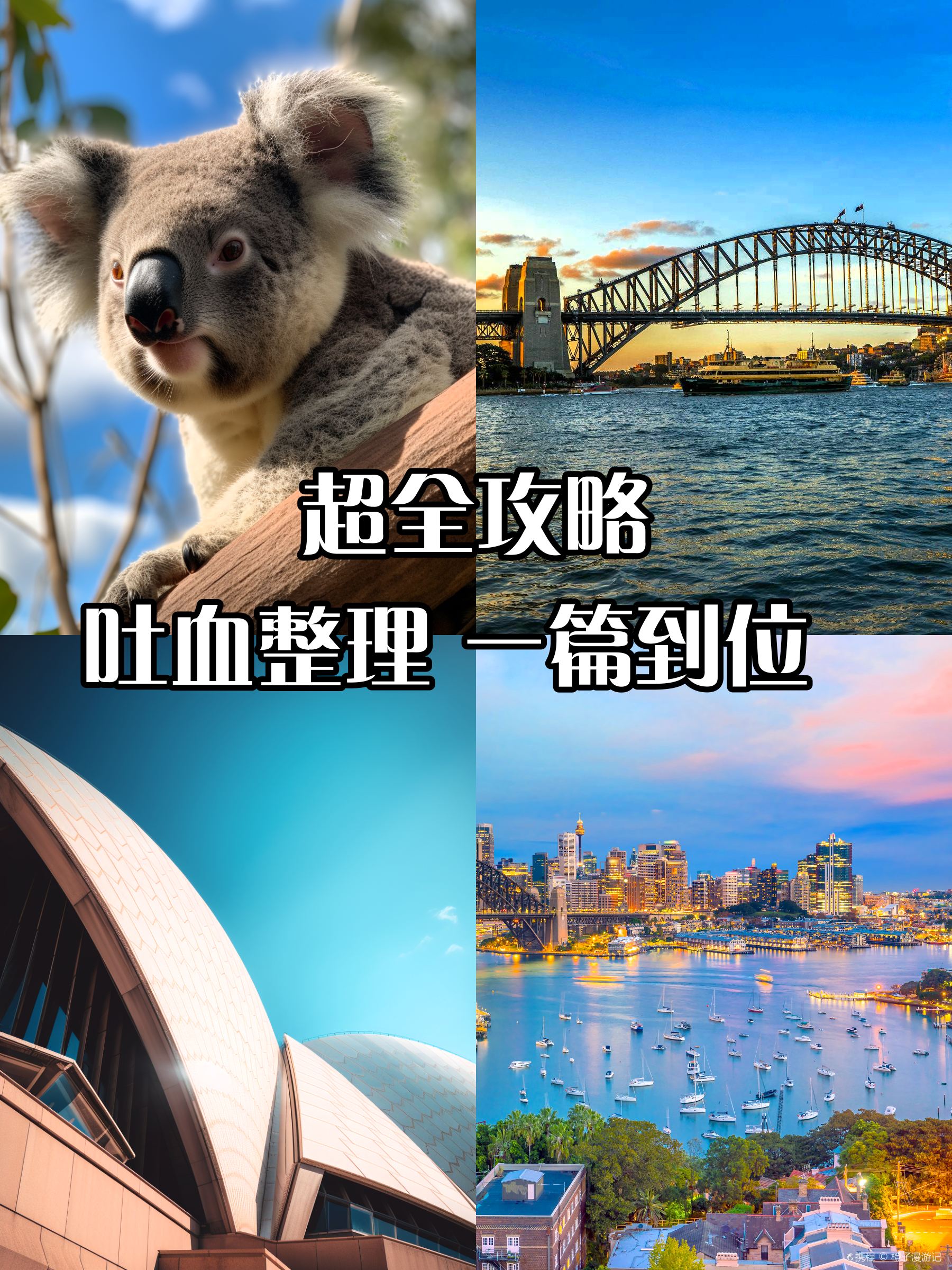 妈妈说：“去澳大利亚之前看到这篇就好了”