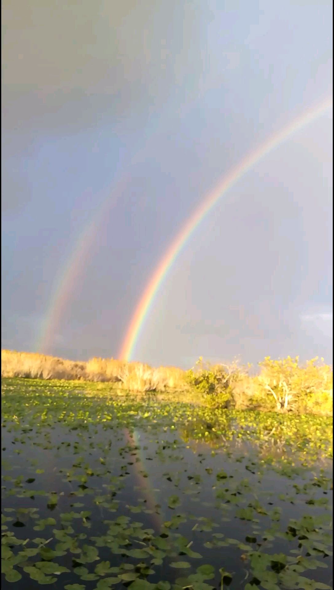 佛罗里达大沼泽地国家公园上的双彩虹，美美美！