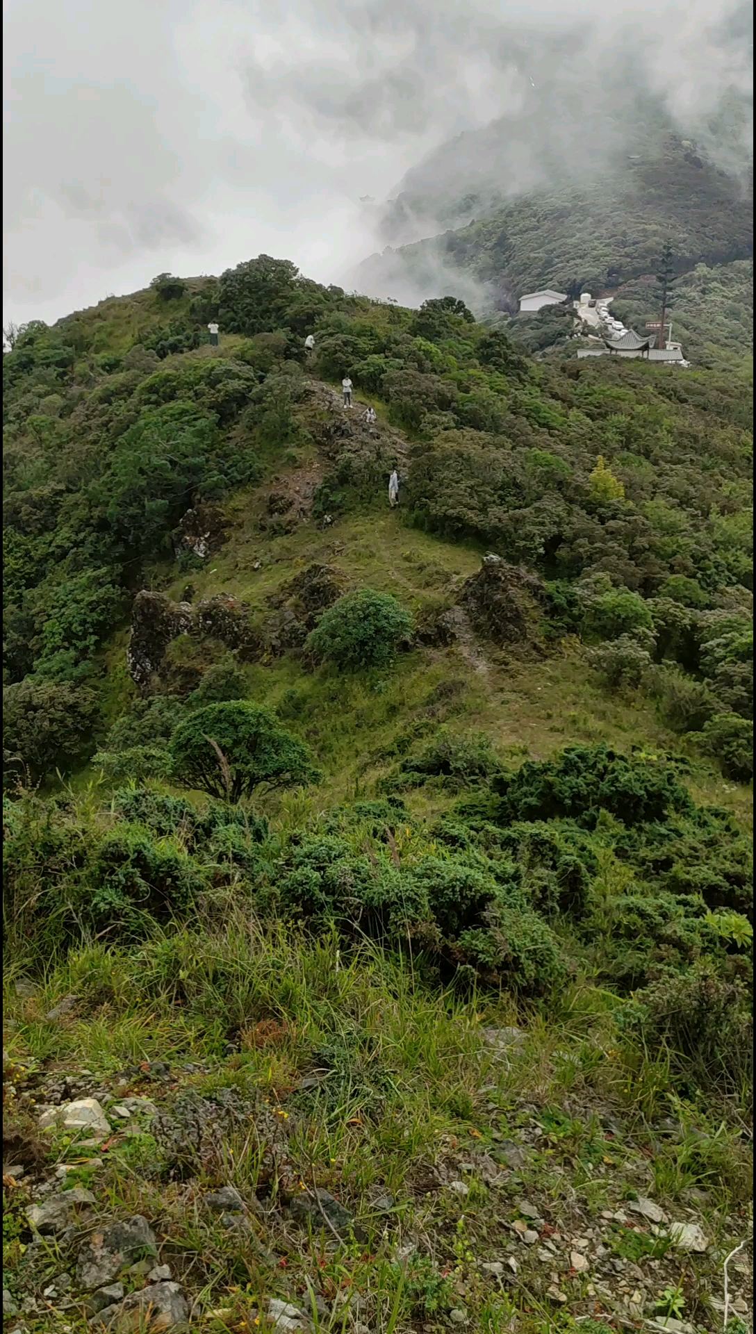 高山低头迎远客，若若怡儿初登临