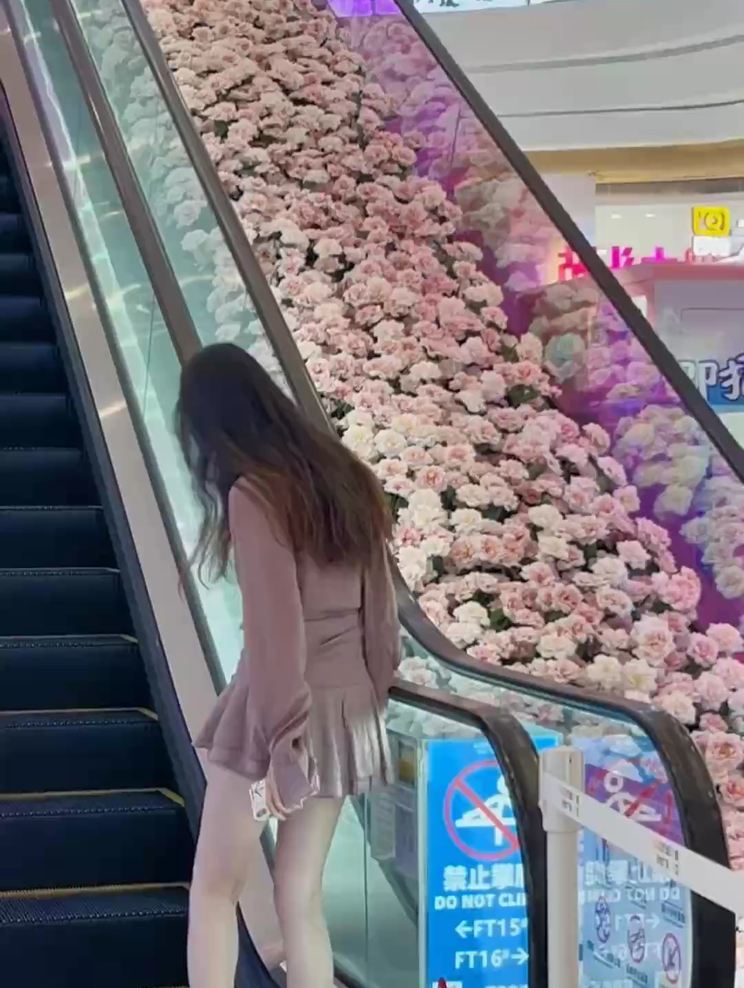 我在晋江拍到了玫瑰花电梯瀑布。