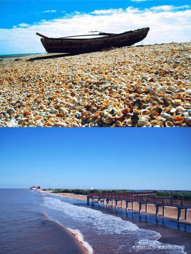 无棣贝壳堤岛是国家 aaaa 级旅游景区,位于山东省滨州市无棣县.