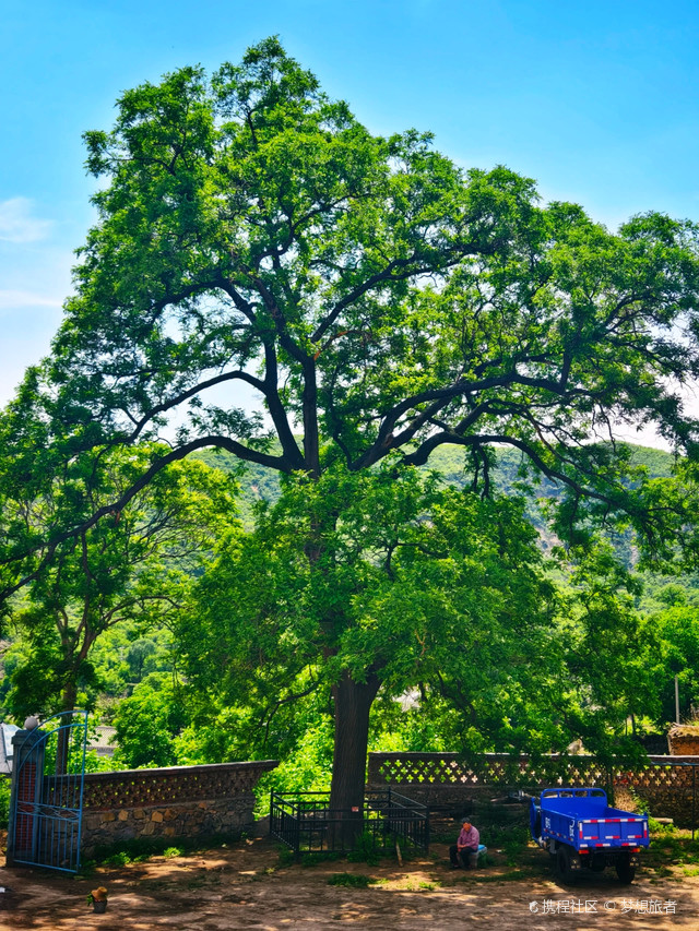 探访北京灵水村