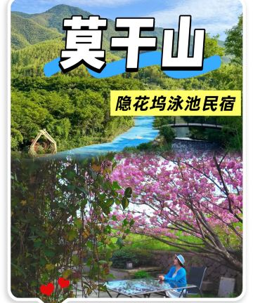 莫干山隐花坞·泳池度假民宿图片