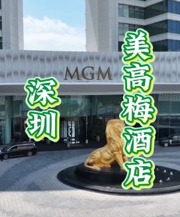 深圳美高梅酒店图片