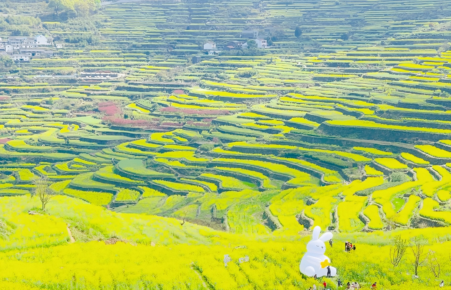 江浙沪周边徒步赏花绍兴·上虞覆卮山