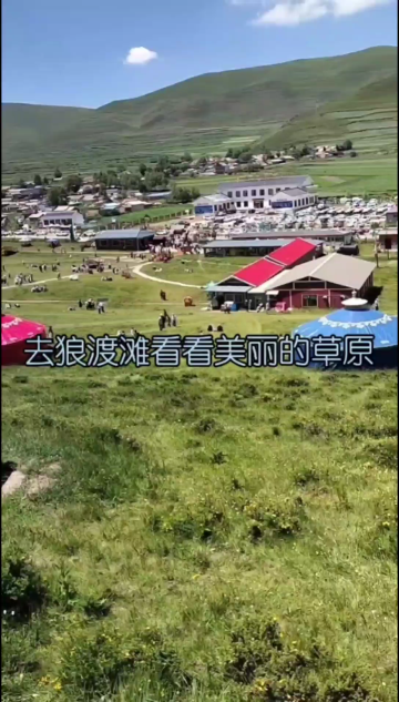 甘肃岷县 狼渡滩湿地草原到了最美的季节!来吧-携程攻略
