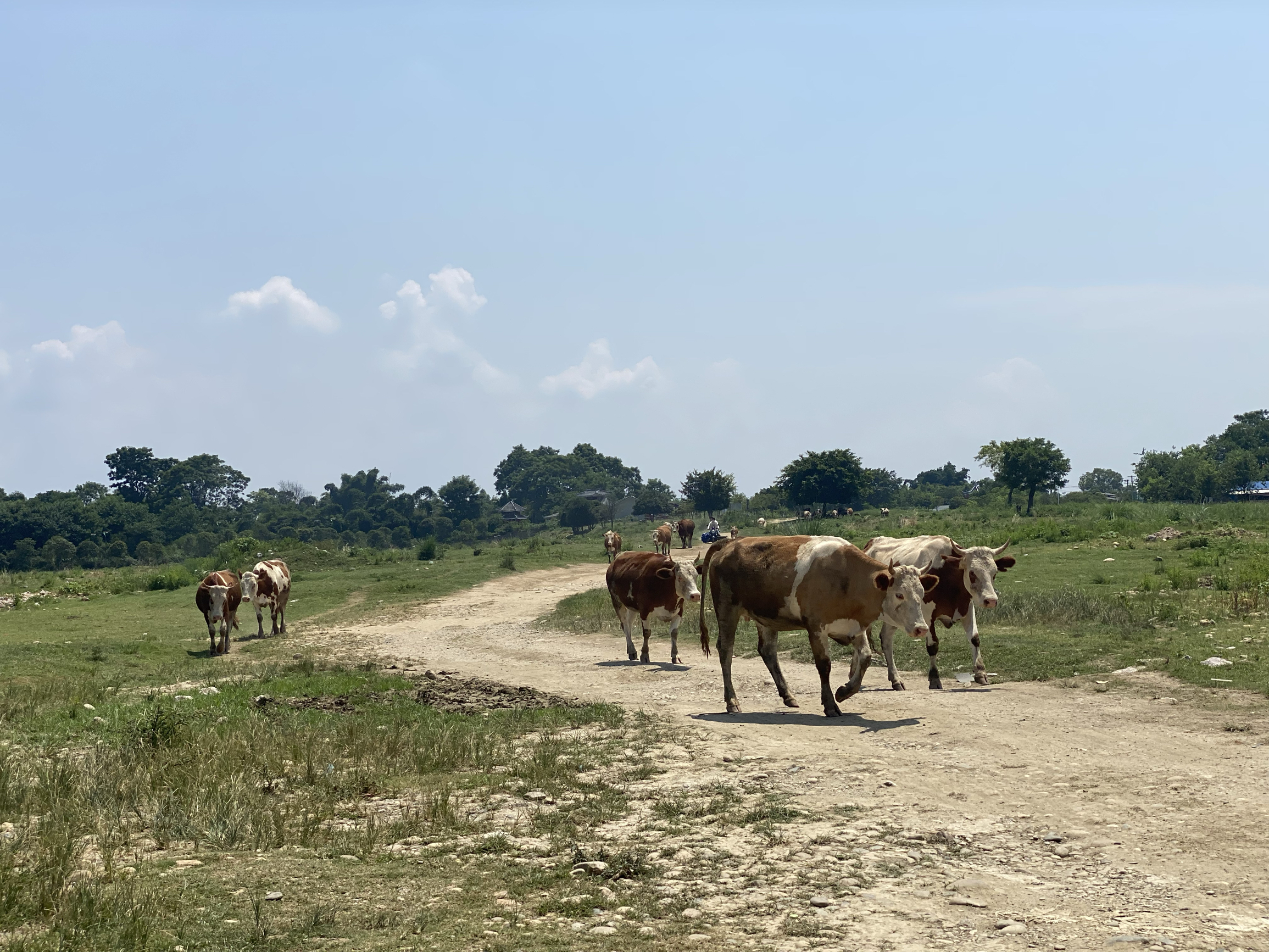 大洲旅游休闲岛