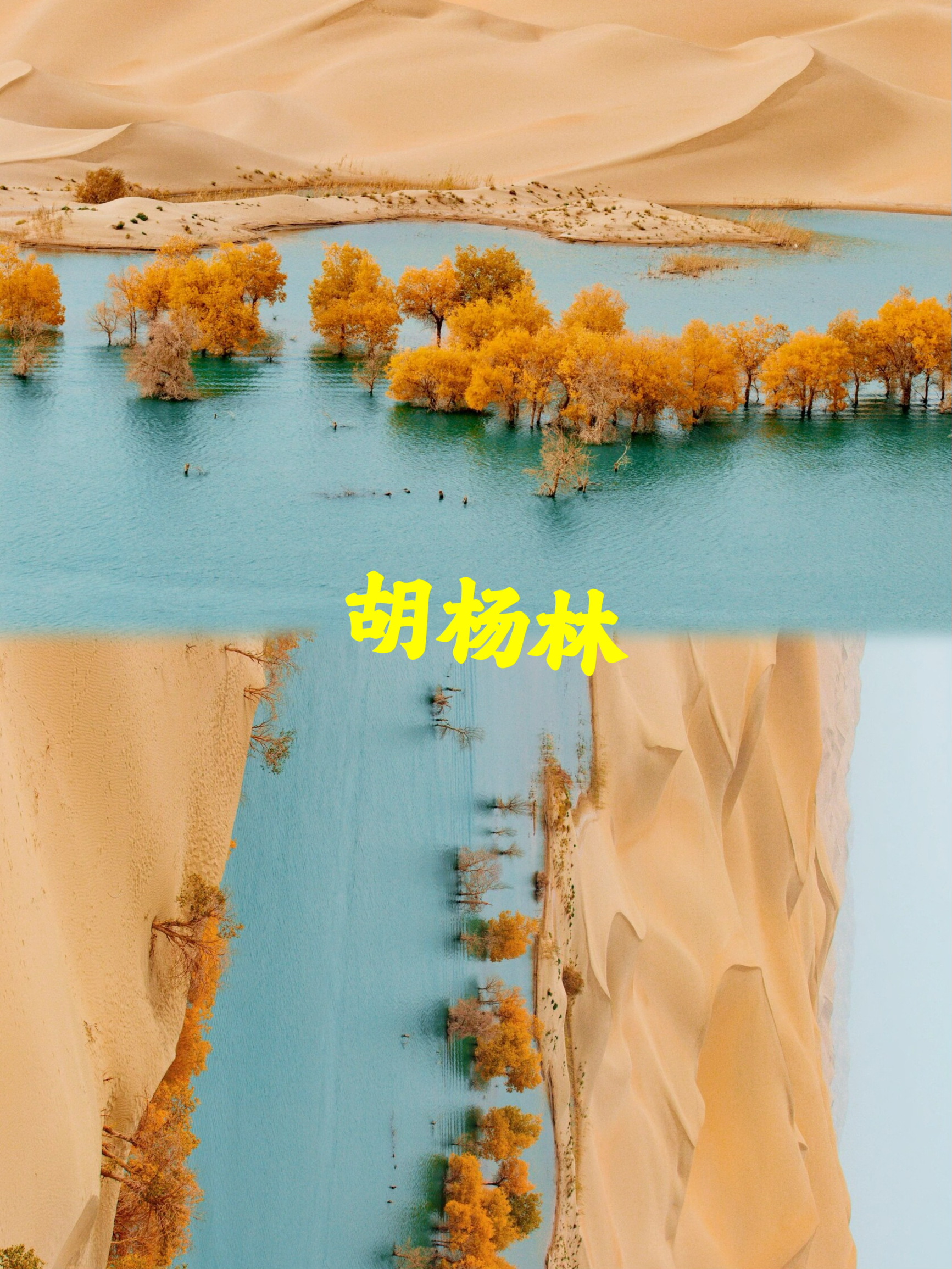 舍不得分享的小众沙漠水上胡杨林