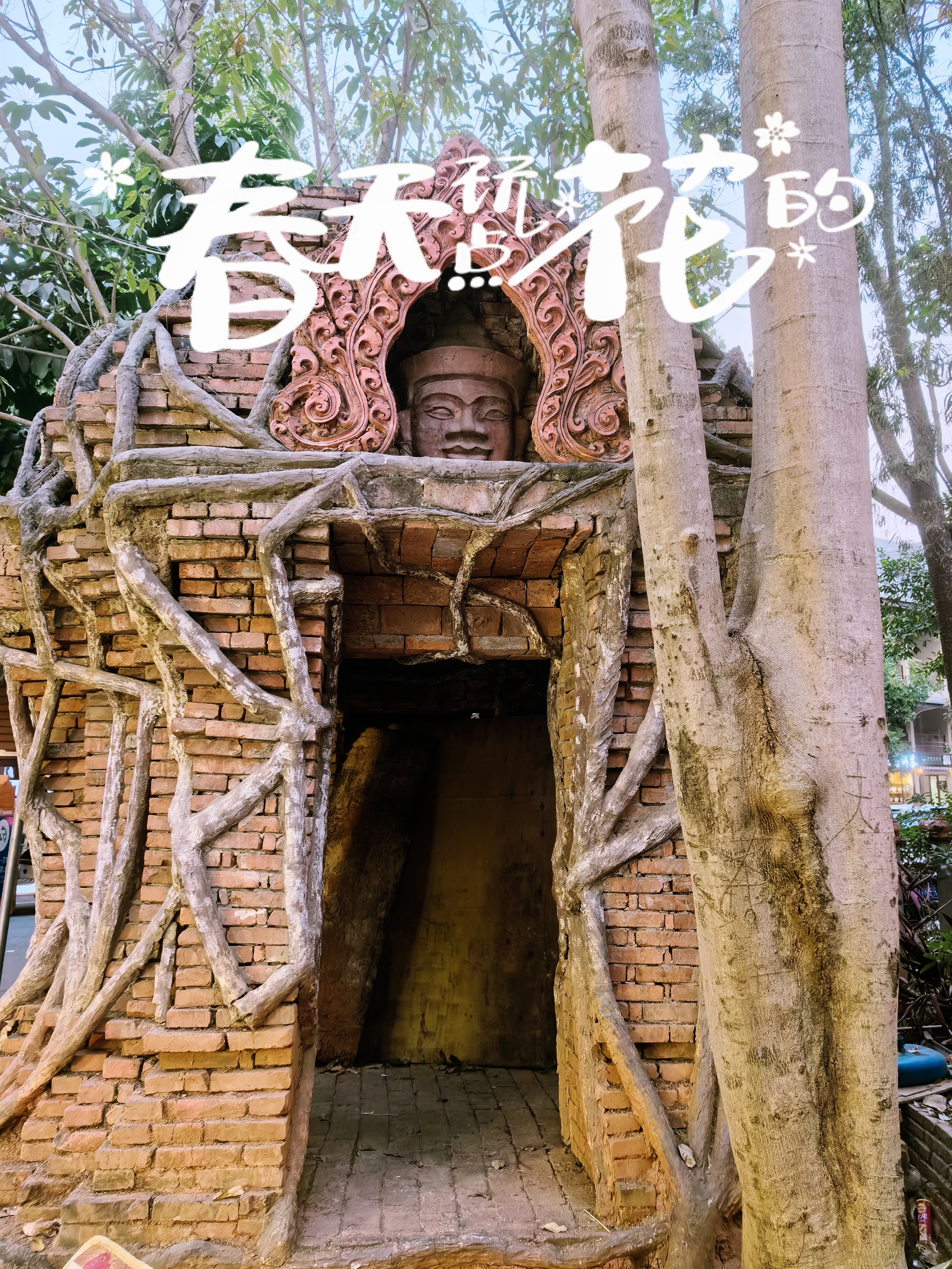 西双版纳逛大金塔寺及周边｜｜你玩得可真花啊！