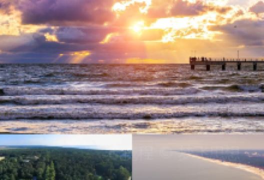 Molinis Asotis美食图片