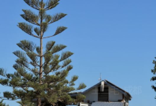 The Jaffle Shack美食图片