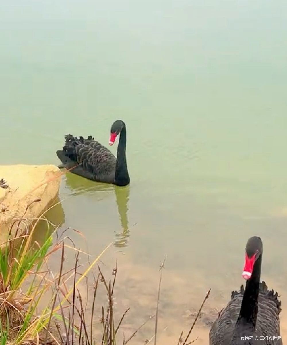 桂林融创施柏阁酒店图片