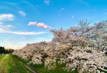 雫石川園地景点图片