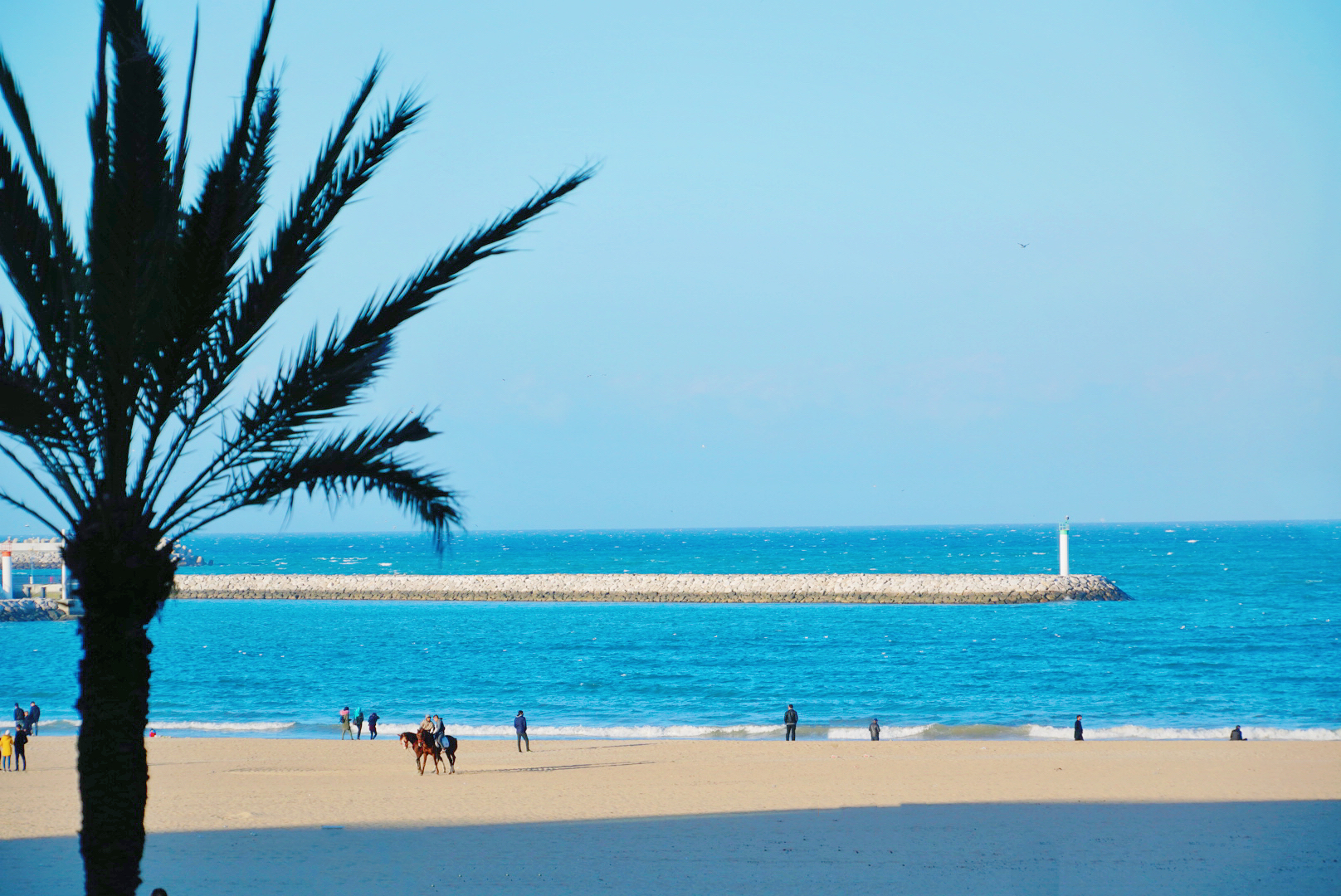 橙游摩洛哥 | 丹吉尔，被这座海滨小城征服，只需要一秒