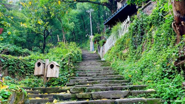 黄葛古道