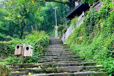 黄葛古道