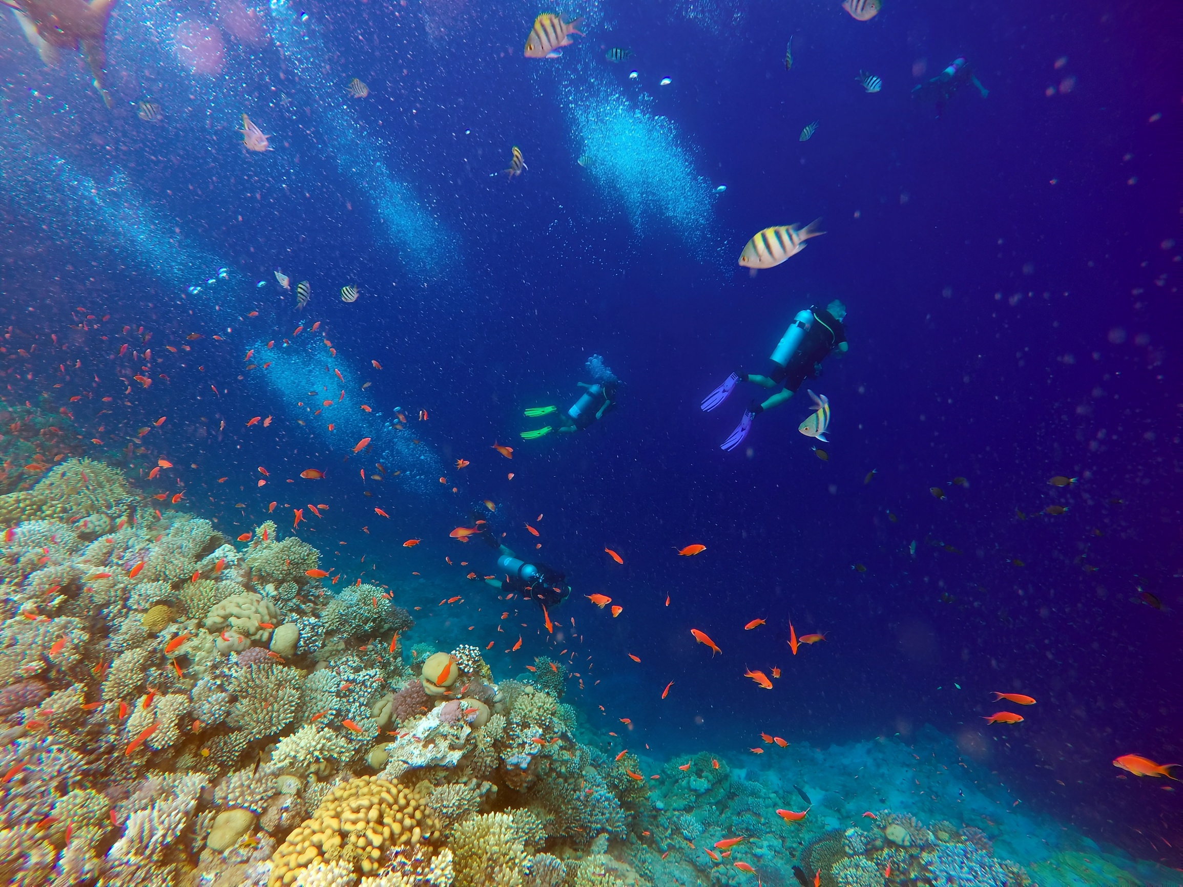 达哈布蓝洞，美丽的珊瑚礁王国