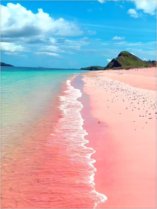 |||这么浪漫的粉色沙滩 当然要第一时间分享给你啦.
