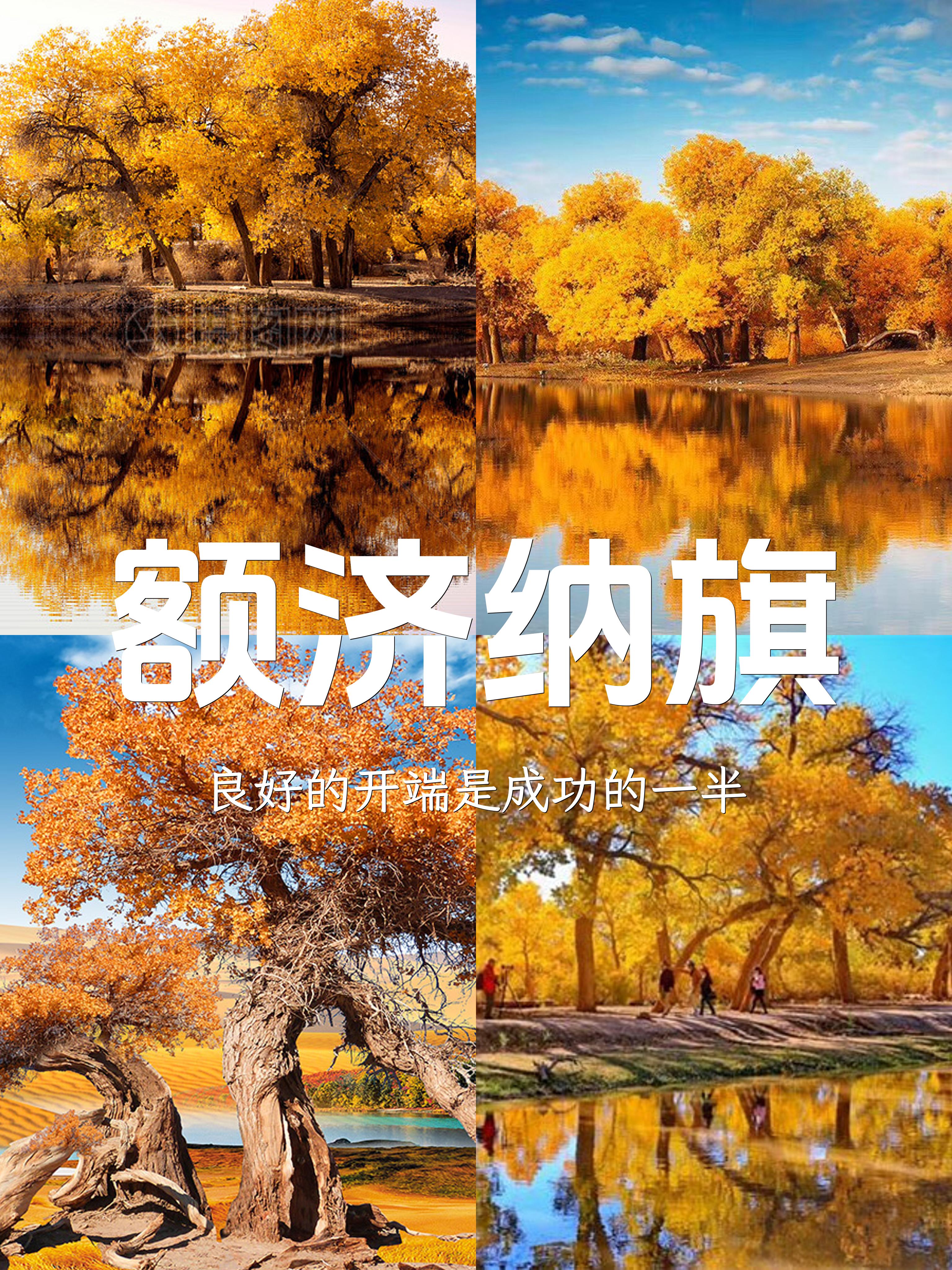 🚗额济纳旗胡杨林探秘之旅🌳🍂