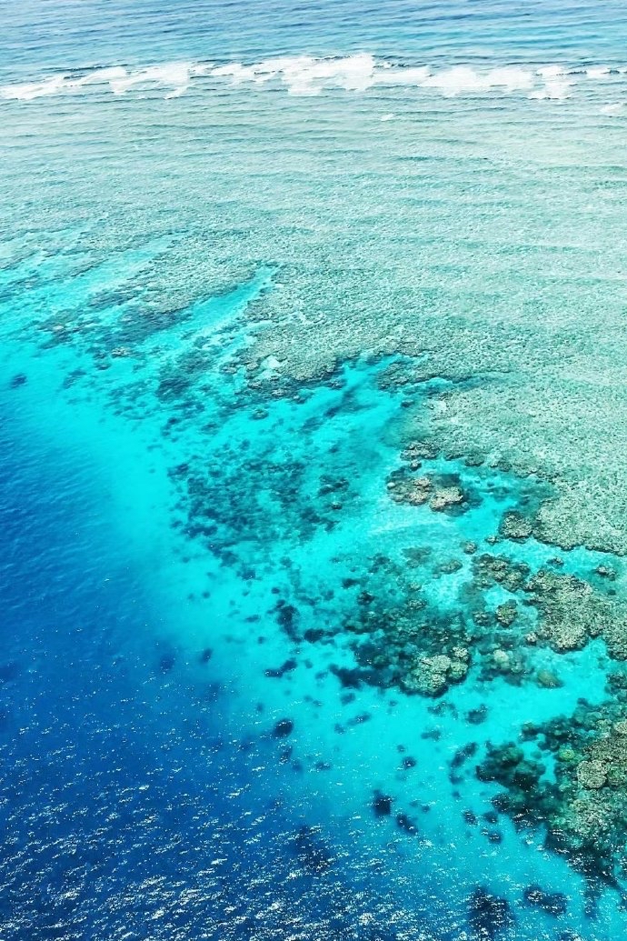上天下海🌊世界奇观大堡礁太值得了！