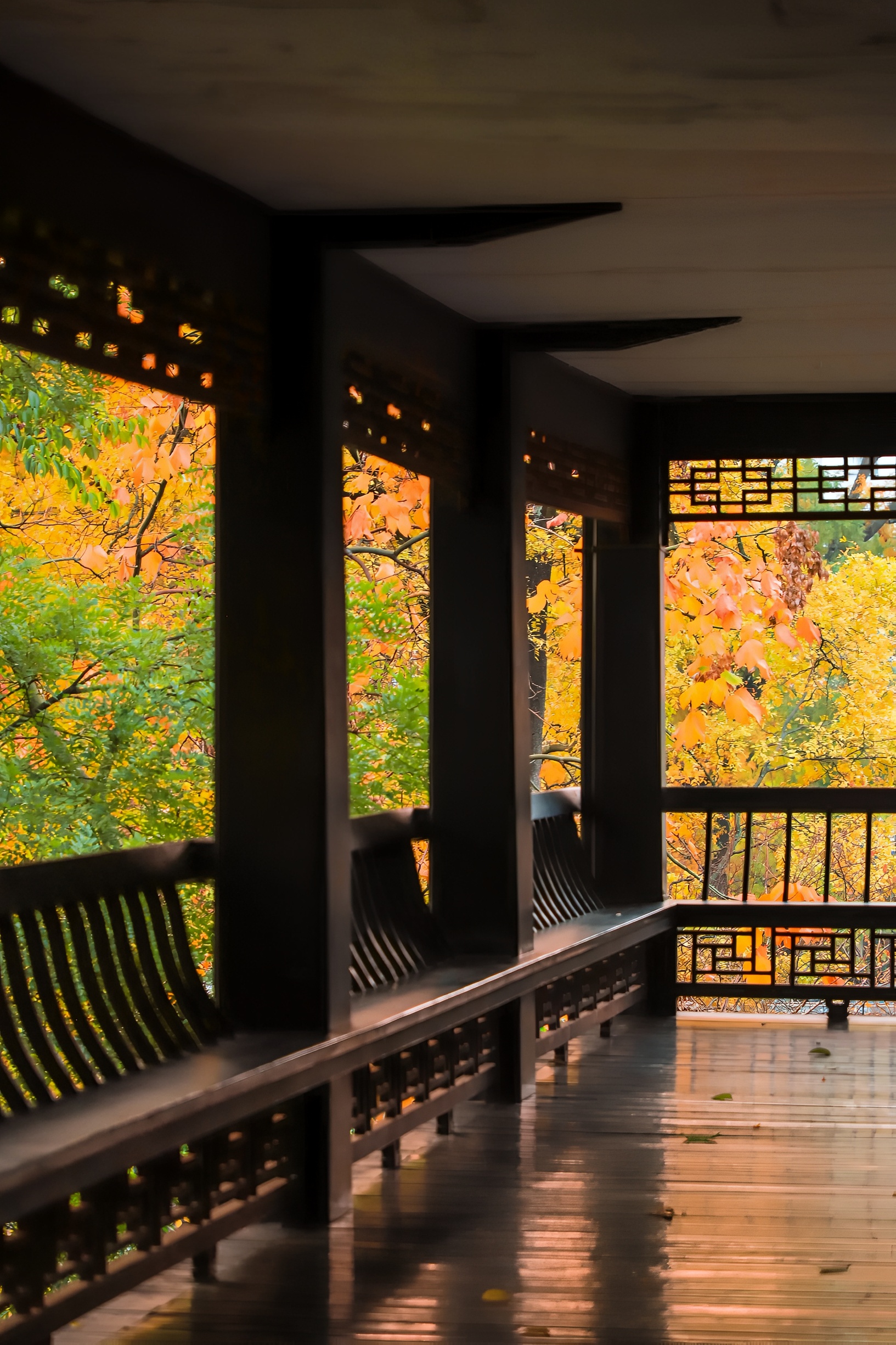 不用去京都，贵阳也有自己的禅意秋窗🍂