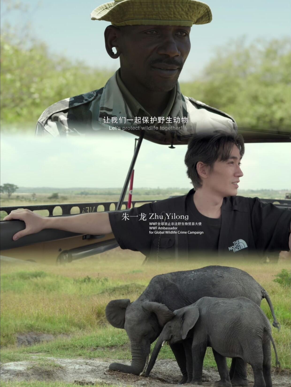 朱一龙同款非洲游 | 在肯尼亚守护野生动物
