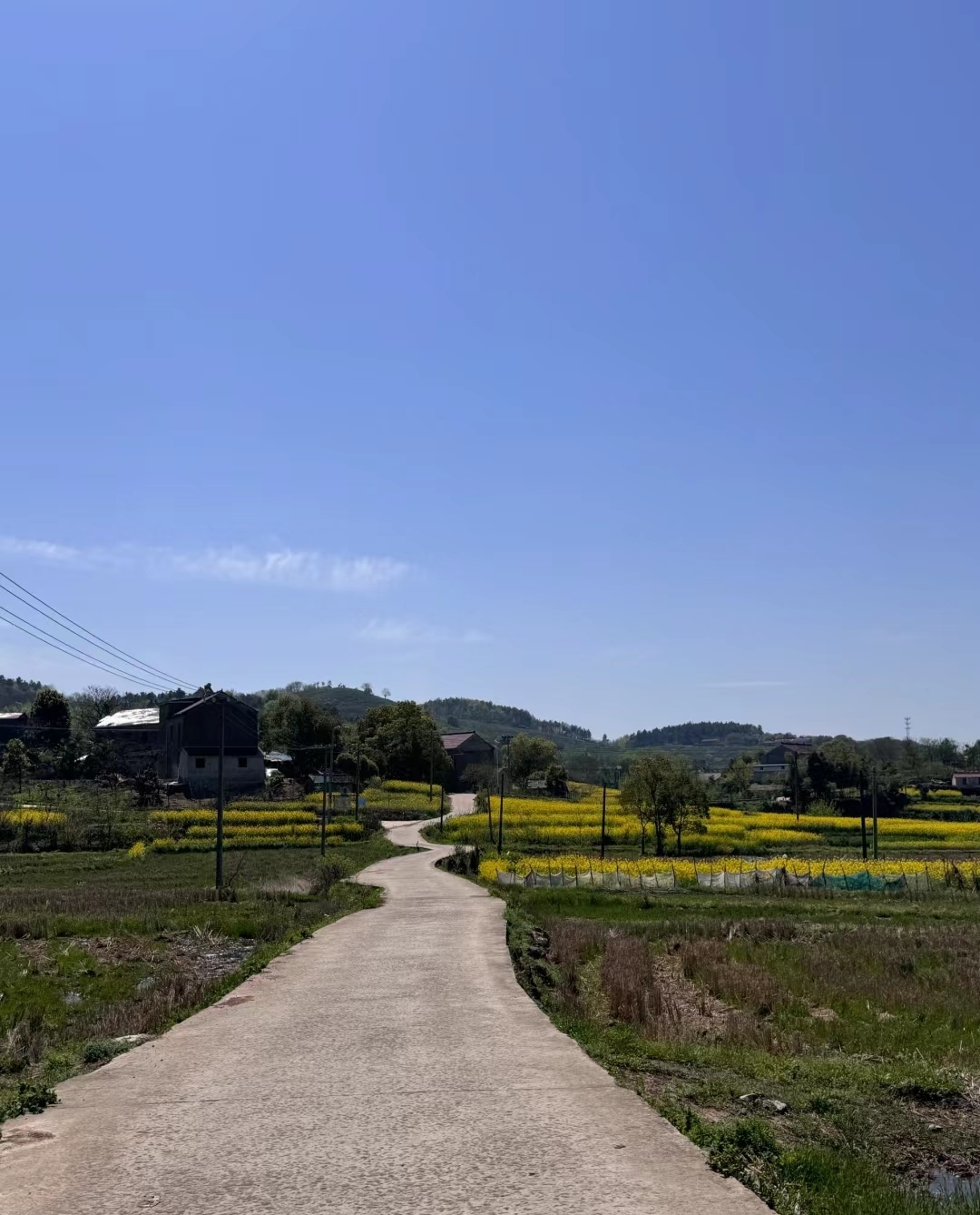 柳峰山⛰️