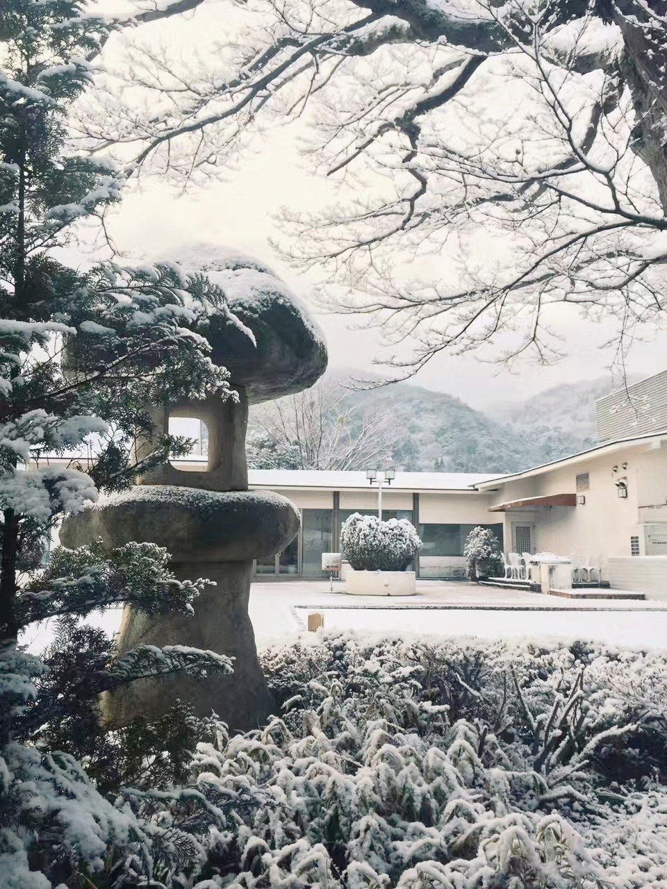 日本这家700百年历史的温泉酒店，我不舍得你错过