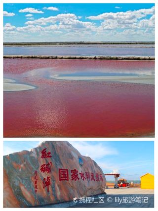 红碱淖旅游攻略