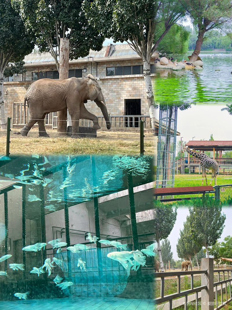 石家庄市动物园
