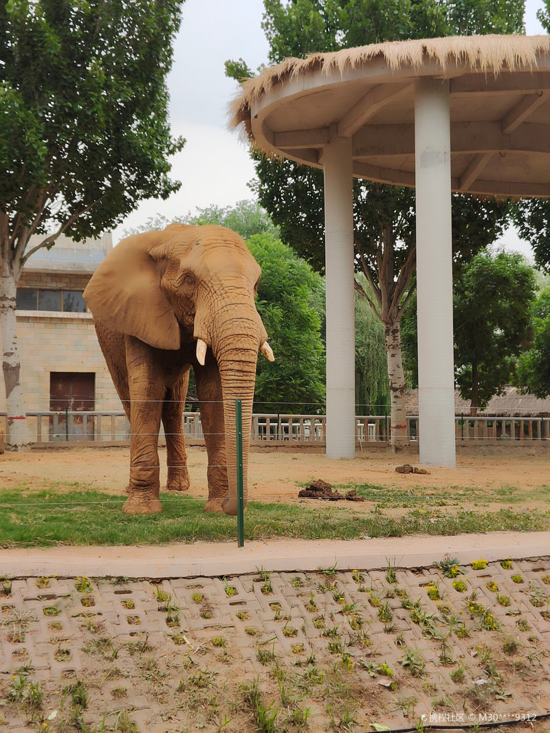 石家庄市动物园