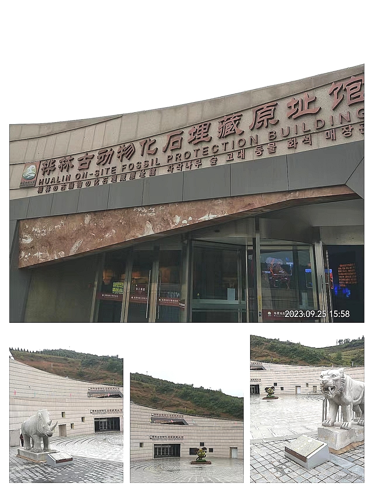和政县桦林古动物化石埋藏原址博物馆