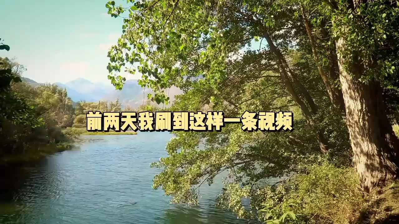 前两天我刷到这样一条视频