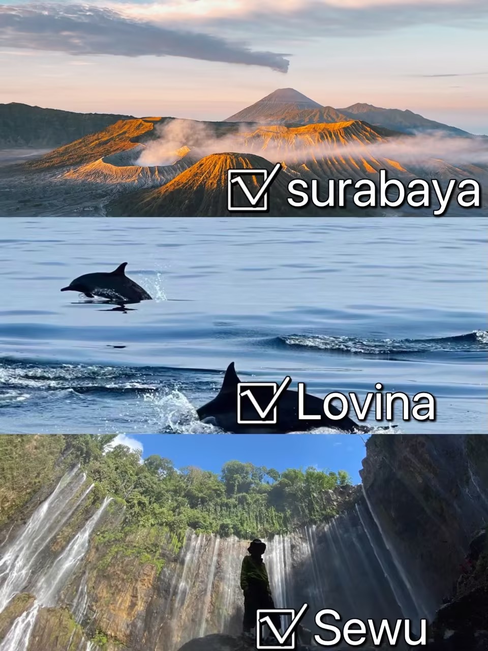 五一出游｜印尼火山+追海豚只要...