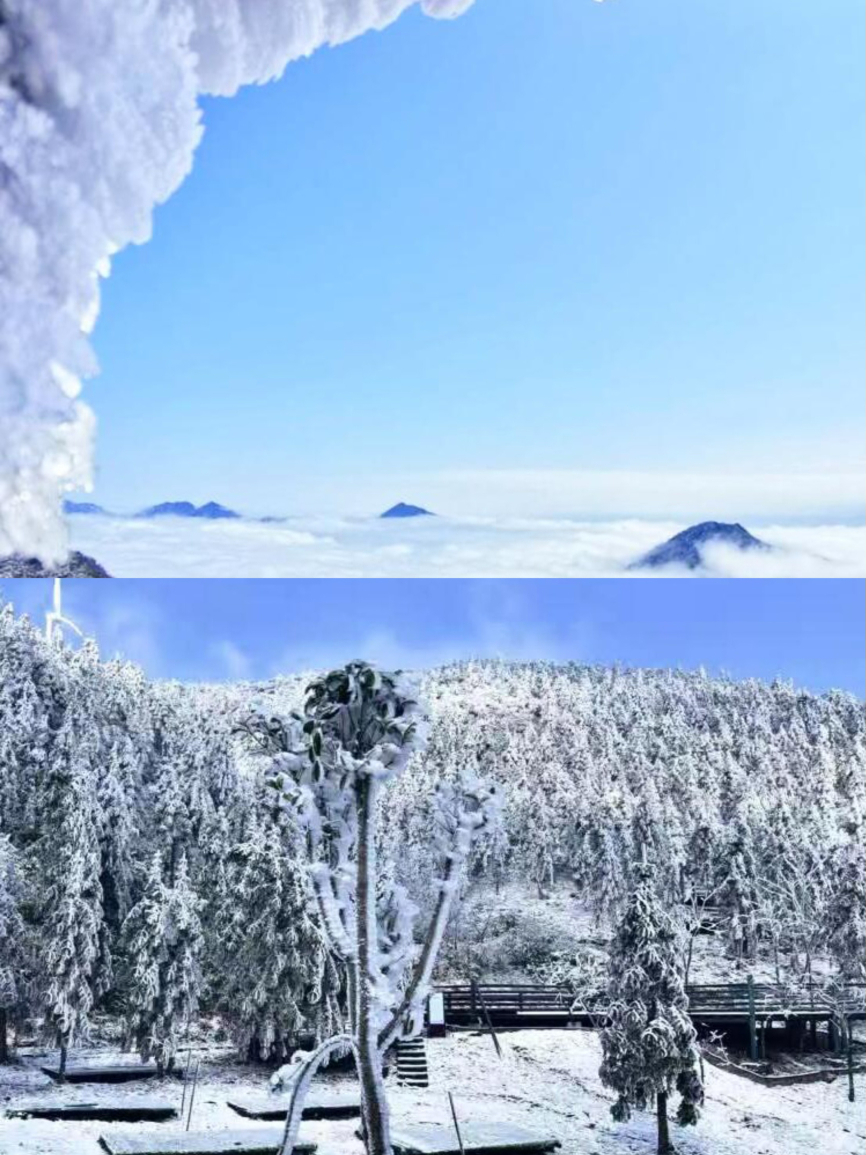 云冰山咖啡屋餐厅图片