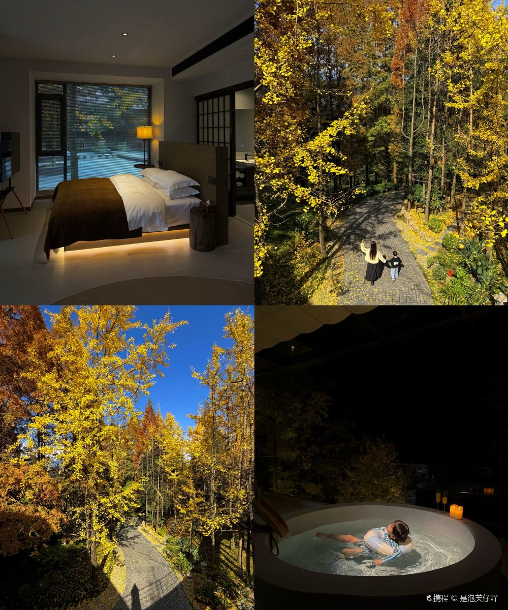 青城山素喜青山森林民宿图片