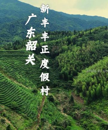 新丰县丰正度假村图片