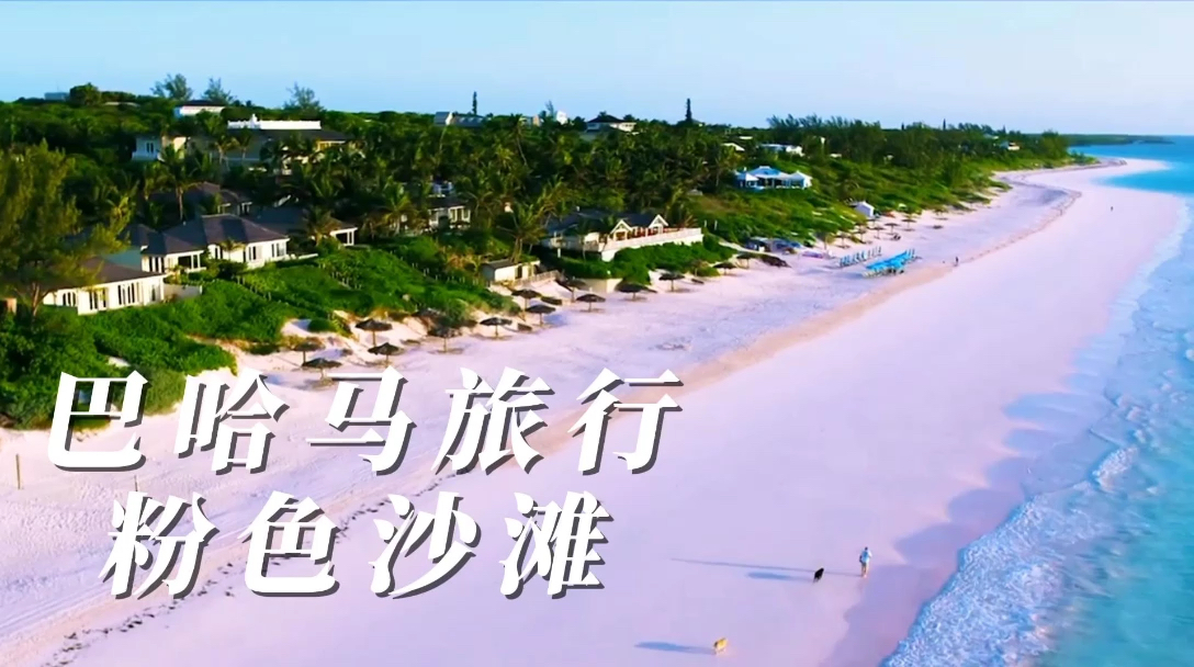 巴哈马粉色沙滩🏖️，美到不真实！