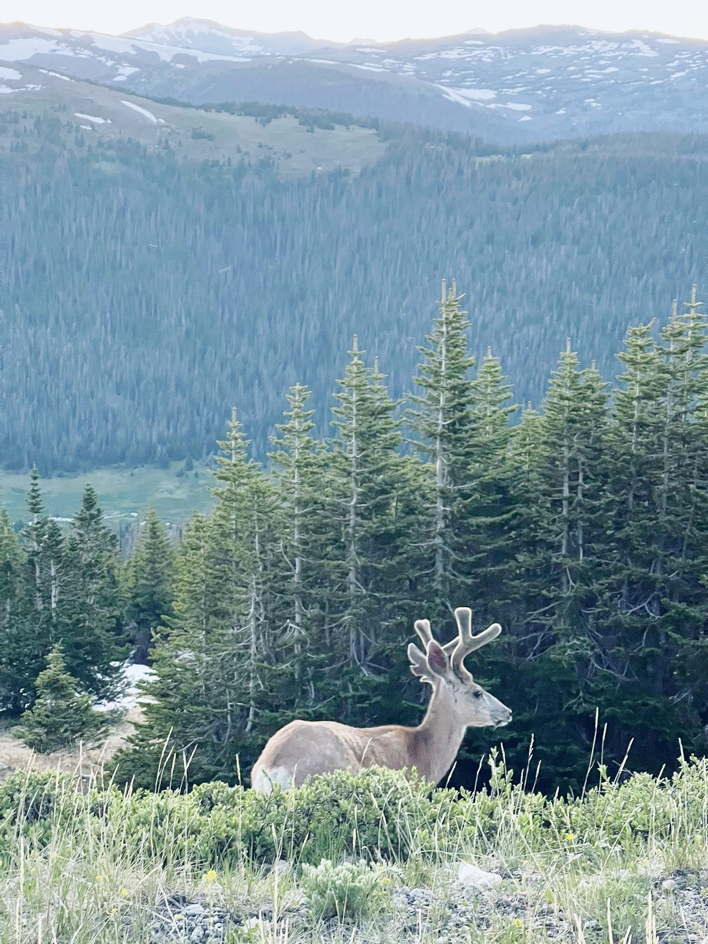 【夏日避暑 | 佛蒙特州国家公园之旅：Rocky Mountain