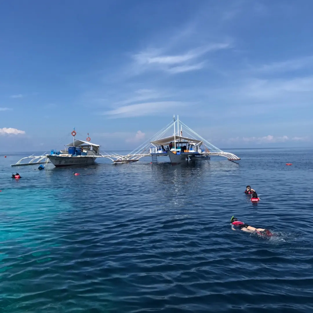 菲律宾薄荷岛，是我在菲律宾见过最最美的岛屿，一个适合1周游的岛屿，也有很多初级潜点，巴里卡萨更是世界