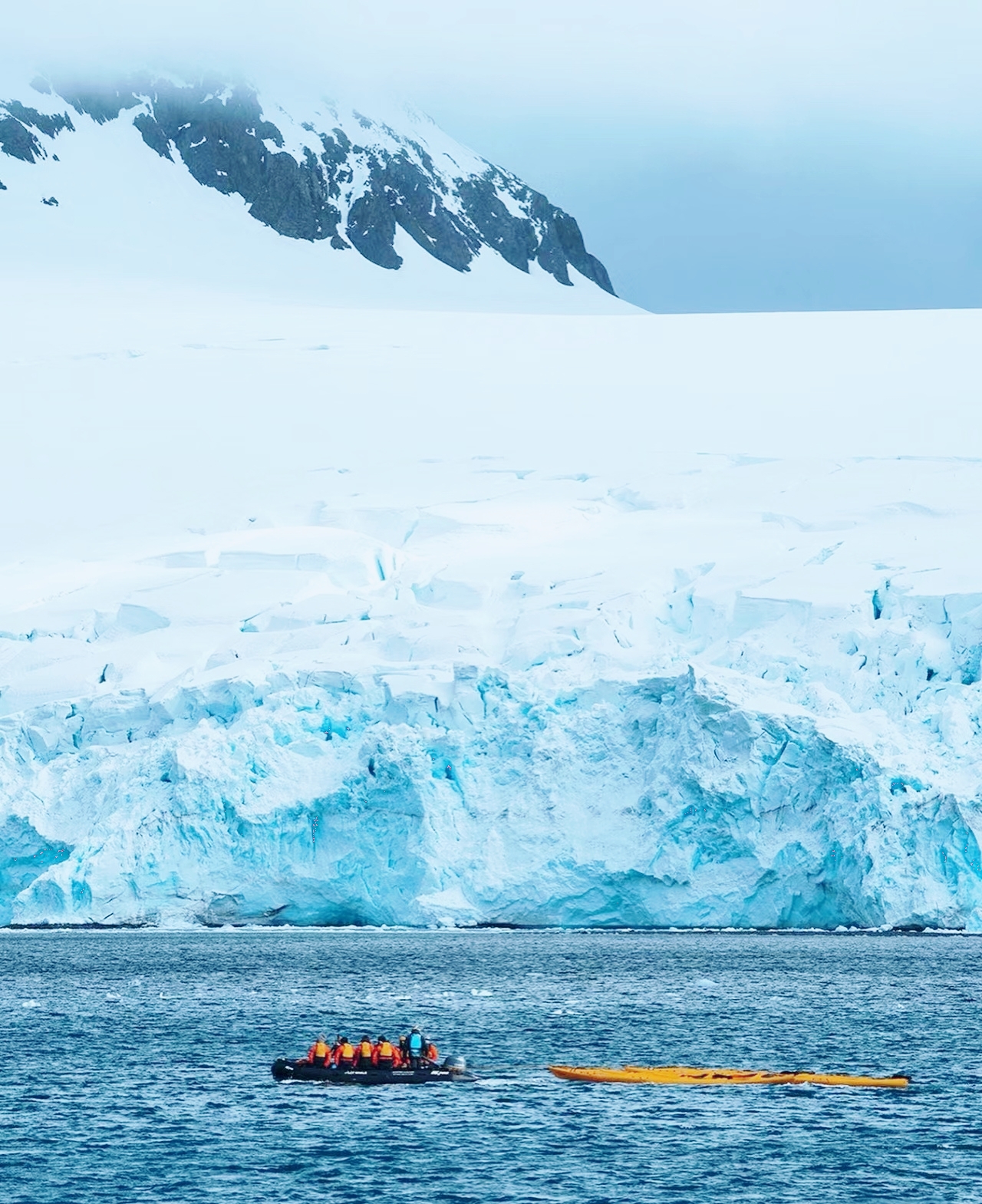南极半岛+威得尔海登录小知识