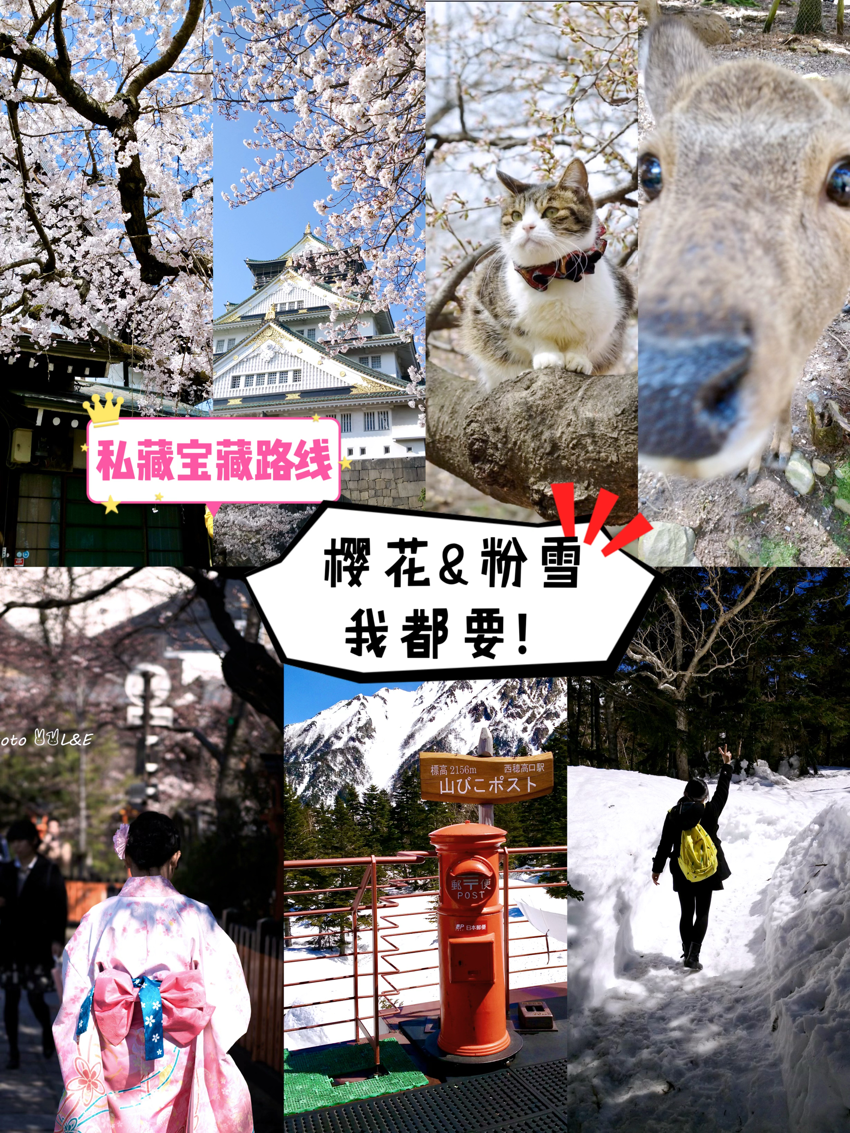 日本旅行最好的季节来了！看完樱花再赏雪泡温泉，这条线路绝了！
