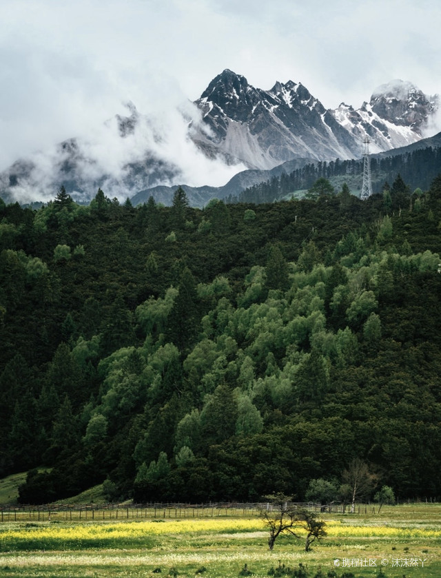 西藏鲁朗林海:仙境般的雪山林海,让你流连忘返