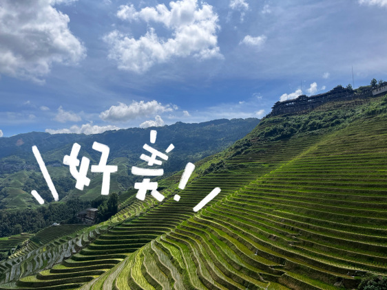 黄洛长发村饭店餐厅图片