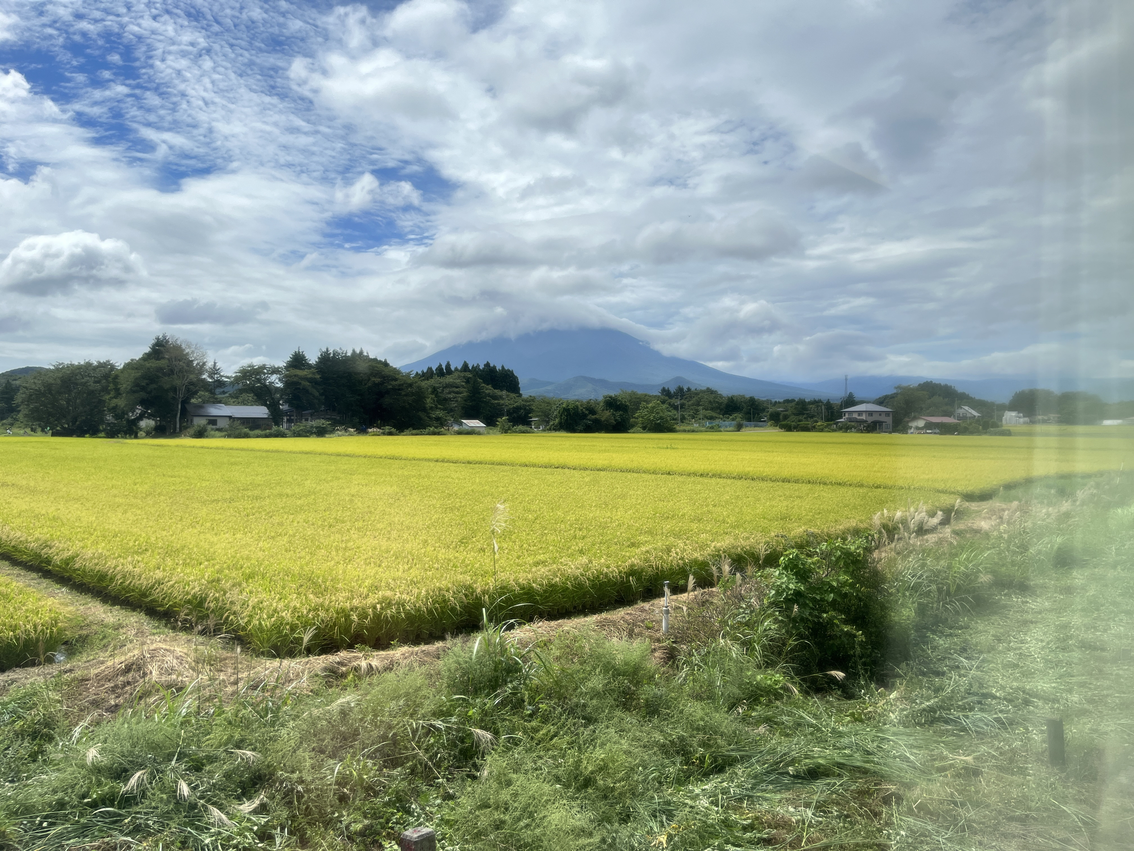 第一次到日本的农村来