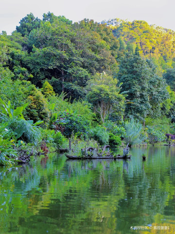 深圳仙湖植物园