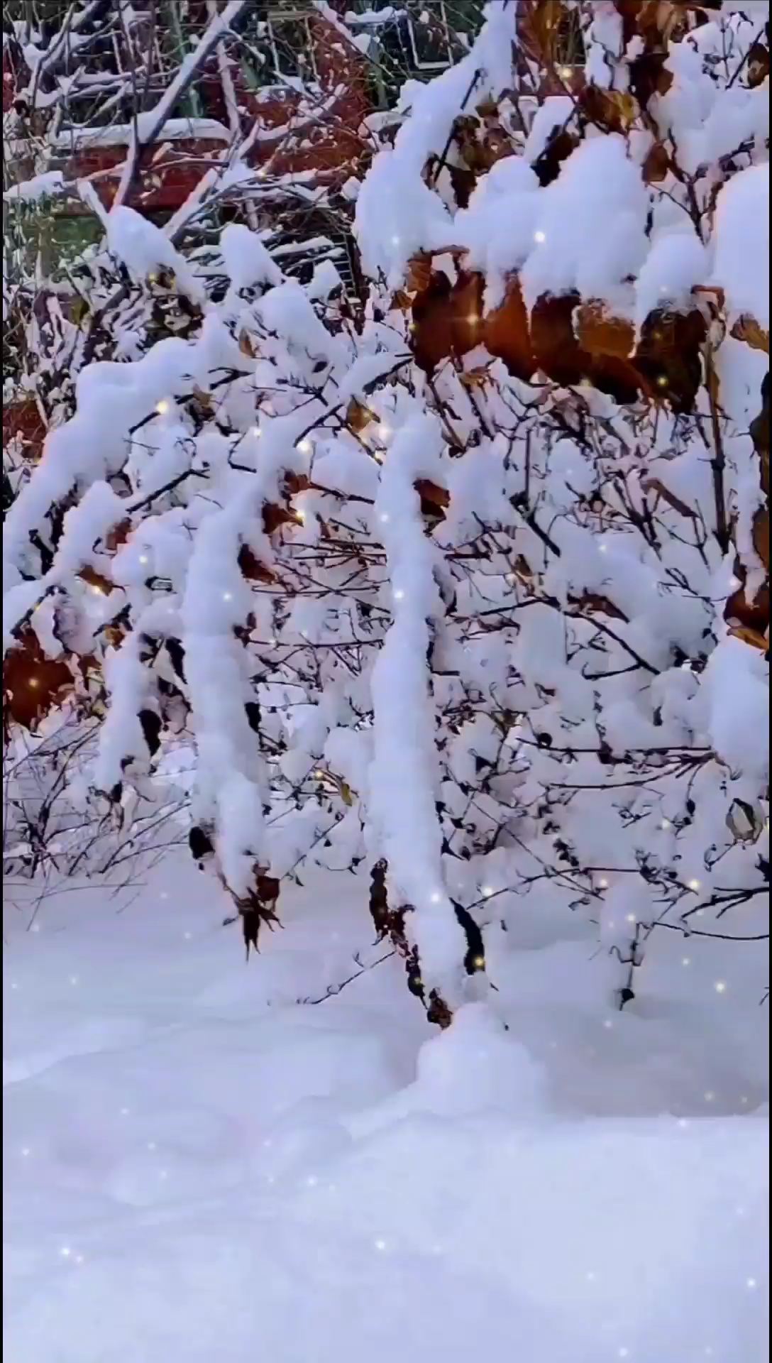 桦甸下雪🌨️啦