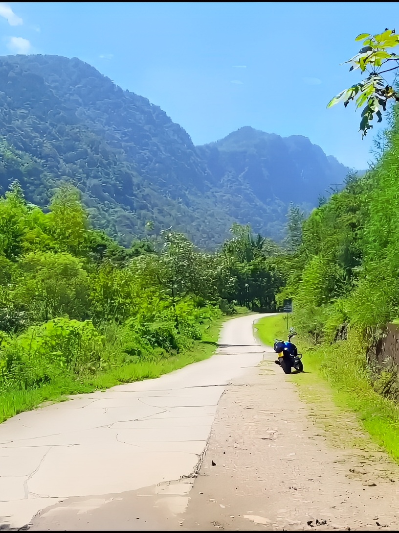 发现了一个捡菌子的窝点，绵竹土地岭，赶紧行动起来，晚了就没啦